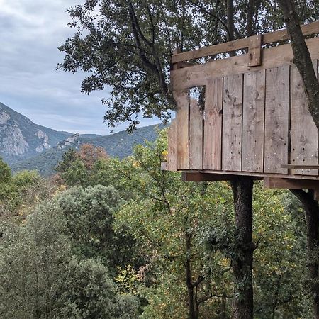 Grande Maison Carpediem, Le Calme A La Campagne Cassaignes Extérieur photo