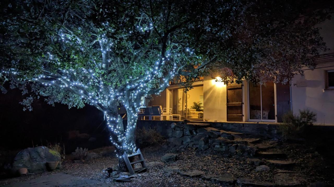 Grande Maison Carpediem, Le Calme A La Campagne Cassaignes Extérieur photo