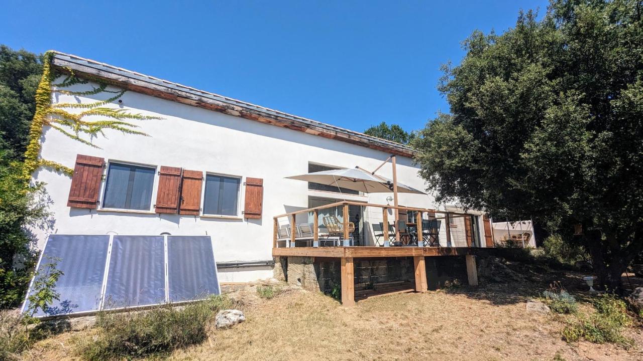 Grande Maison Carpediem, Le Calme A La Campagne Cassaignes Extérieur photo